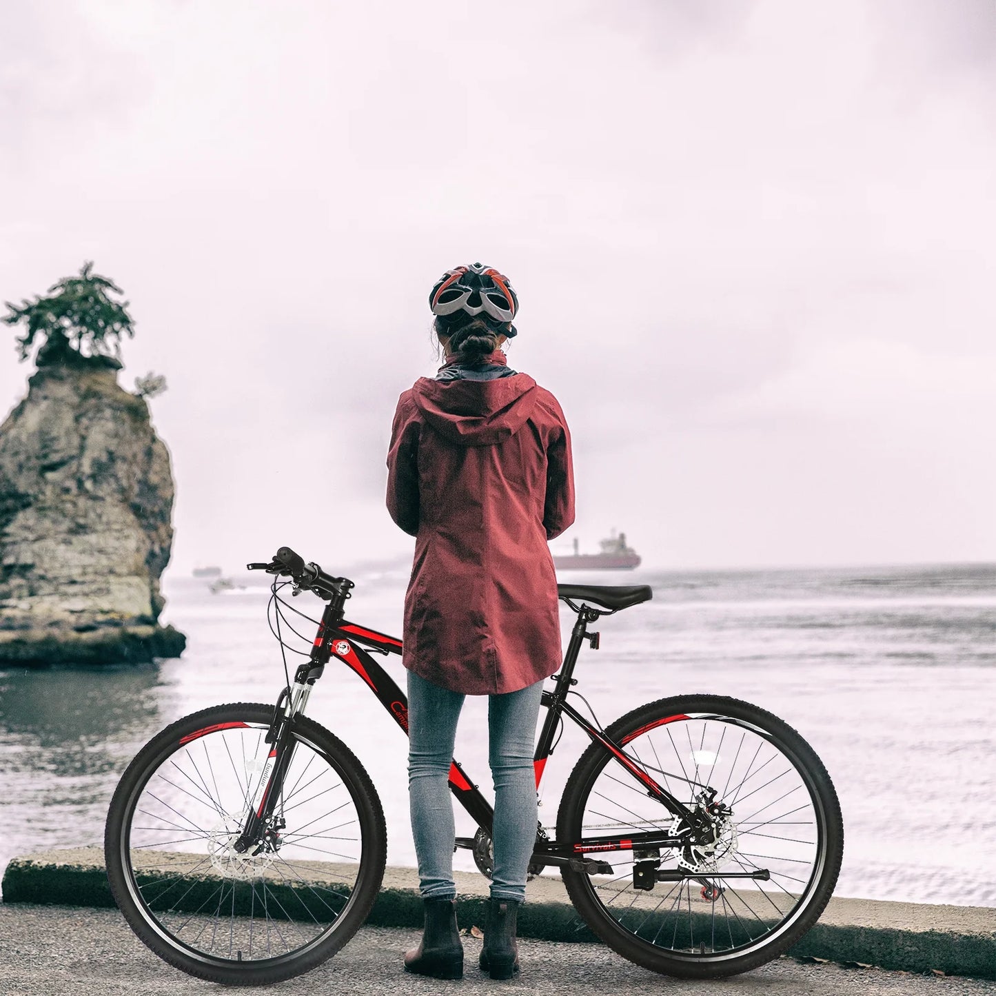 26 in 21 Speed explorer Red Black Mountain Bike - Product image 9